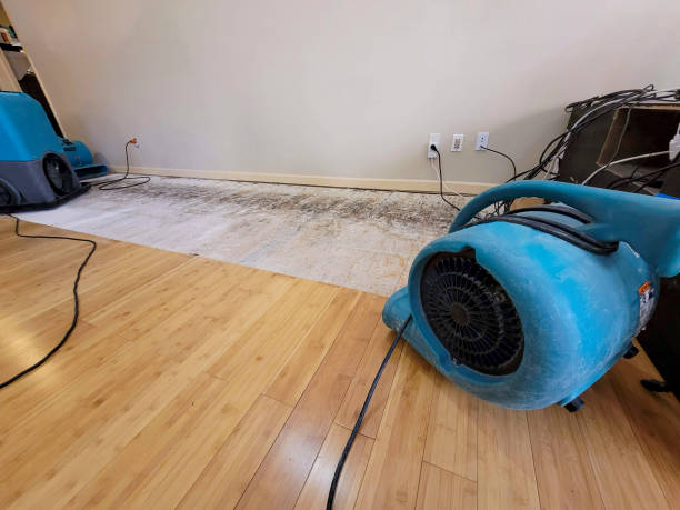 Professional Sewage Cleanup technician working in Corning, IA